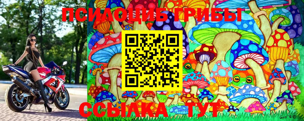 Галлюциногенные грибы мухоморы  Вход с VPN  купить закладку  Отрадный  Псилоцибиновые грибы мицелий 