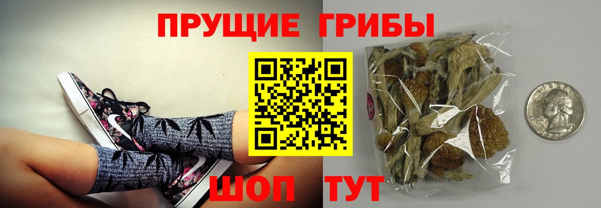 Галлюциногенные грибы мицелий Отрадный